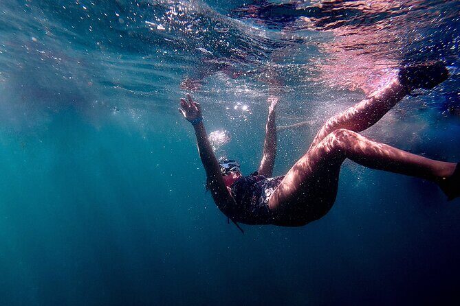 San Juan: Snorkeling with Turtles Adventure and Free Videos - Final Thoughts