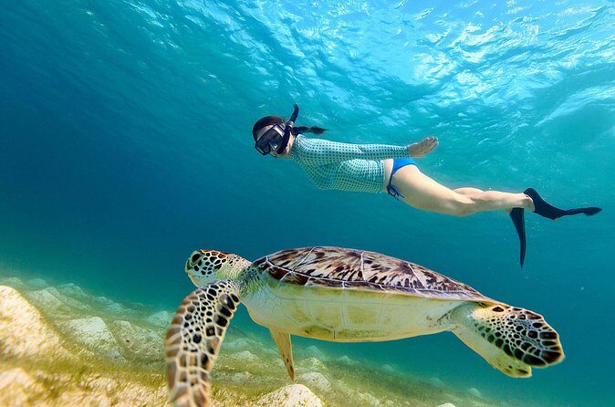 San Juan Turtle Spotting Snorkel Adventure with Videos - FAQ