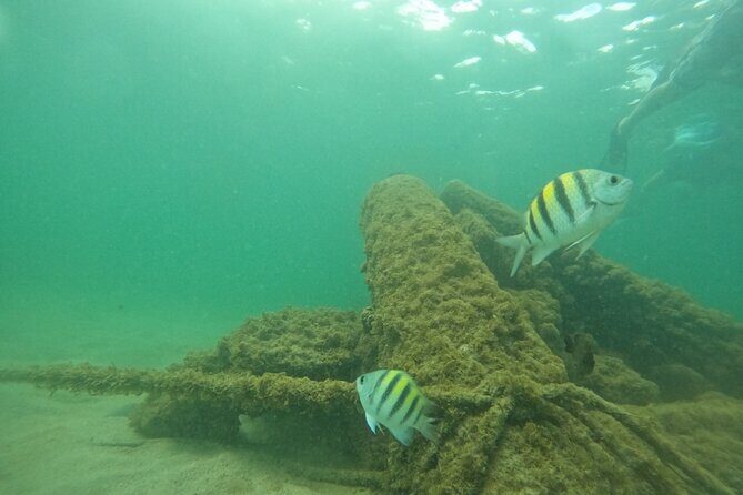 San Juan Turtle Spotting Snorkel Adventure with Videos - Final Thoughts