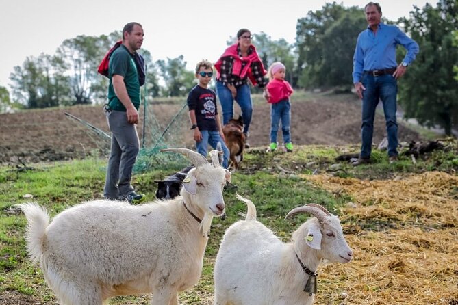 San Leo Cashmere: Farm Experience - Cancellation Policy Details
