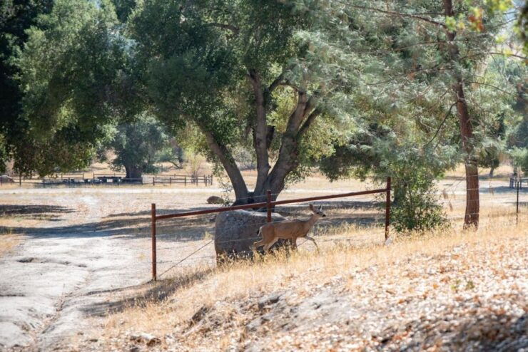 San Luis Obispo: Margarita Ranch Foraging Tour - Tour Duration and Guide Information