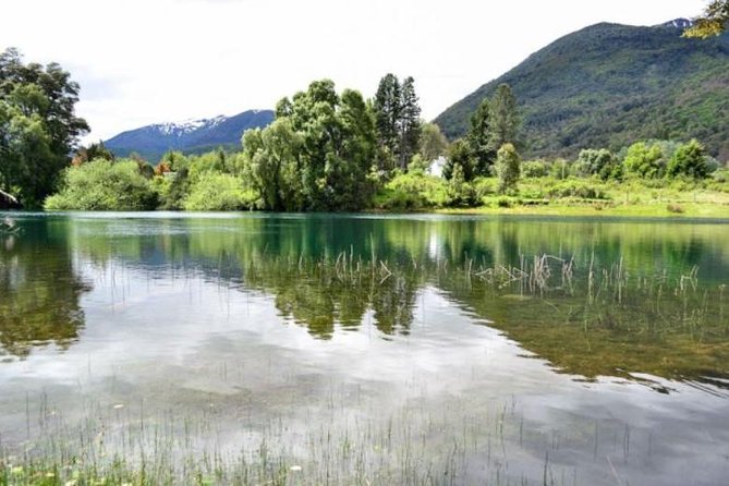 San Martin De Los Andes to Hua Hum Day Trip and Waterfall Hike (Feb ) - Itinerary Highlights