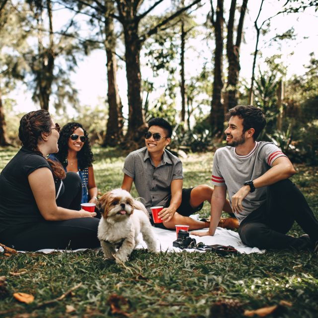 San Martin Park in Mendoza: Pic Nic With Mate Tasting - Mate Tasting Experience Details