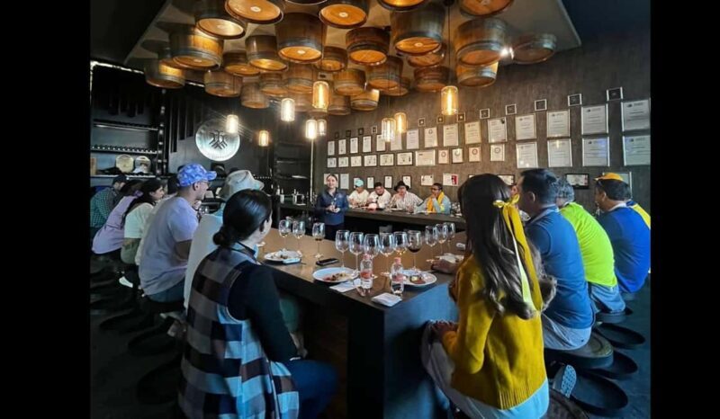 San Miguel Allende: Guanajuato Wine Route vineyard tour - Good To Know