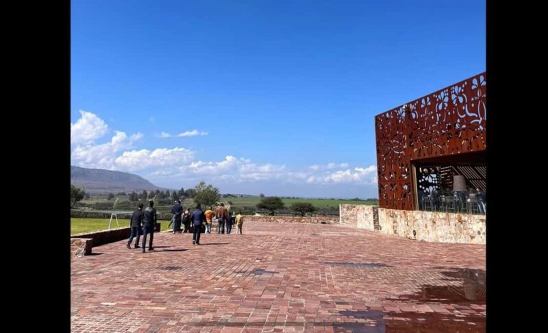 San Miguel Allende: Guanajuato Wine Route vineyard tour - Pricing and Value