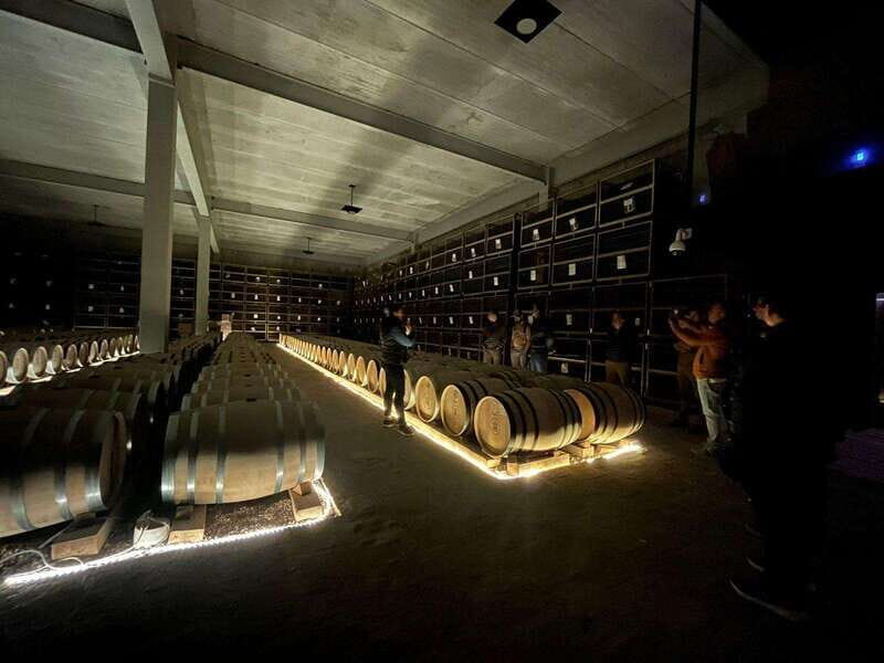 San Miguel Allende: Guanajuato Wine Route vineyard tour - Who Is This Tour Best For?