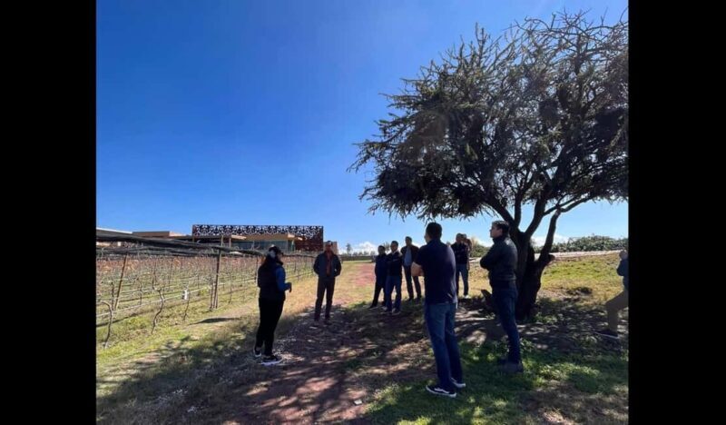 San Miguel Allende: Guanajuato Wine Route vineyard tour - FAQs