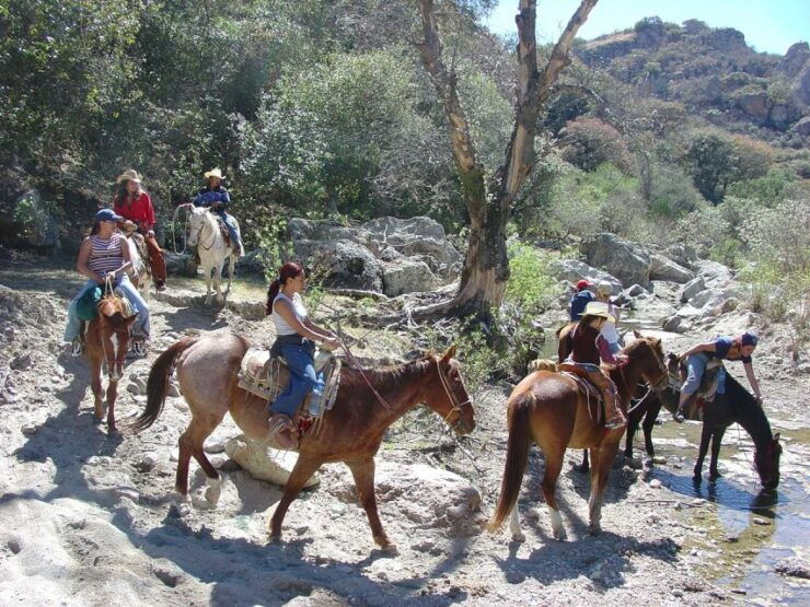 San Miguel Allende: Half-Day Horseback Riding Adventure - Experience Highlights