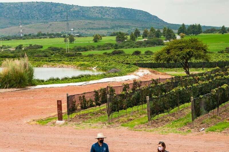 San Miguel de Allende: 3 or 5-Course Menu & Wine Pairing - FAQs