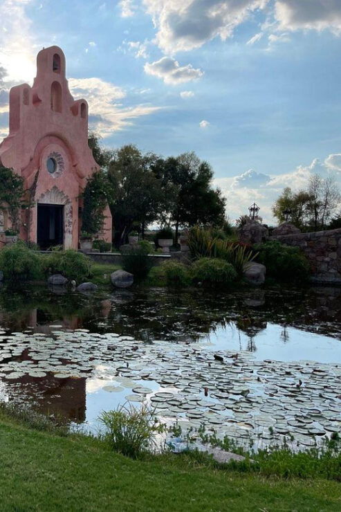 San Miguel De Allende: a Journey Through Vineyards - Good To Know