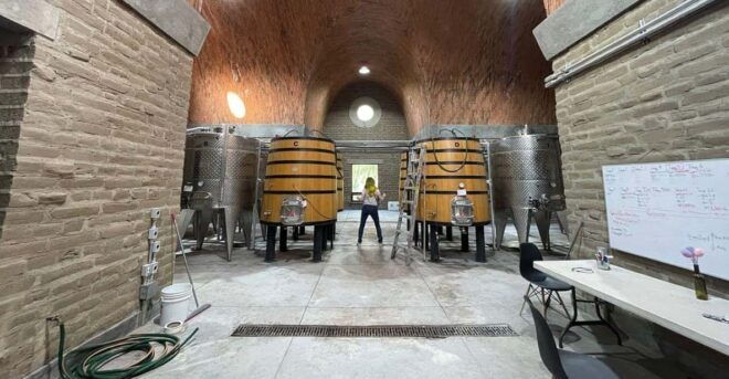 San Miguel De Allende: a Journey Through Vineyards - Guided Vineyard Tour