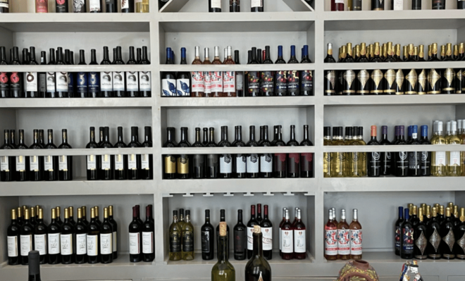 San Miguel De Allende: a Journey Through Vineyards - Gourmet Lunch Experience