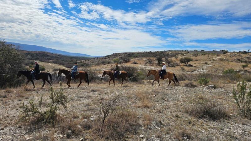 San Miguel de Allende: Breakfast Horseback Ride To Nirvana - Practical Tips for Travelers