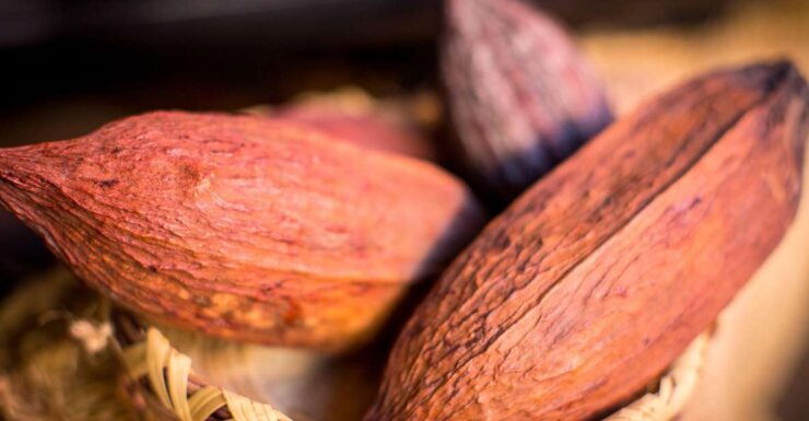 San Miguel De Allende: Chocolate Tasting and Walking Tour - Highlights of the Tour
