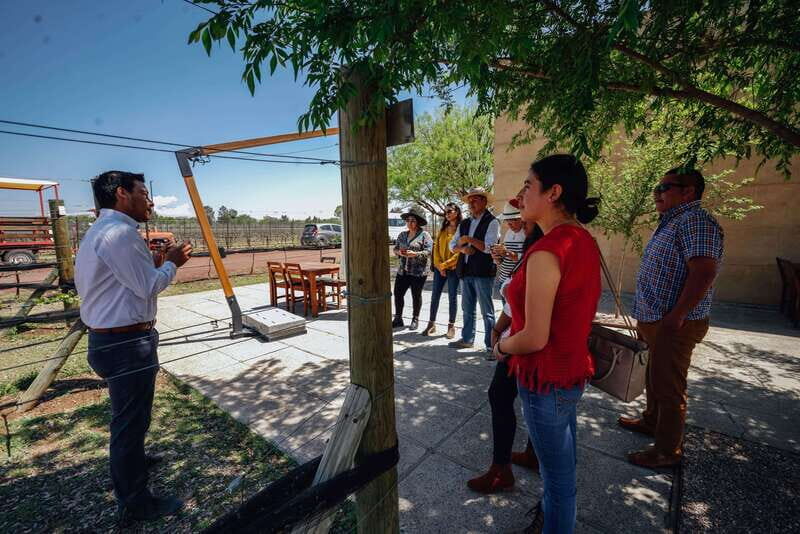 San Miguel de Allende: Independence Valley Wine Route - Who Should Consider This Tour?