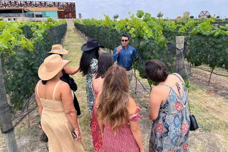 San Miguel de Allende: Local Vineyard Tour & Wine Tasting - Good To Know
