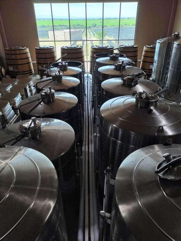 San Miguel de Allende: Local Vineyard Tour & Wine Tasting - The Sum Up