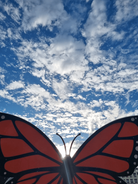San Miguel De Allende: Monarch Butterfly Tour - Explore Monarch Butterflies Ecosystem