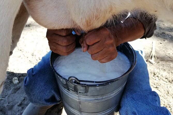 San Miguel De Allende Private Horseback Riding Tour - High Plateau and Archaeological Site