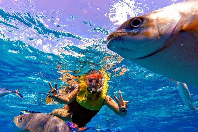 San Miguel De Cozumel Parasailing Experience With Beach Break - Amenities at the Beach Club