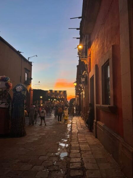 San Miguel From Mexico City - Customer Reviews