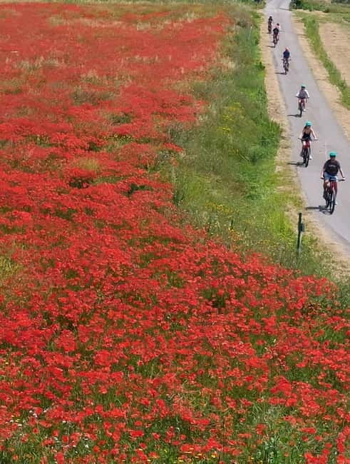San Miniato: e-bike tour (truffle hills) and brunch - Good To Know