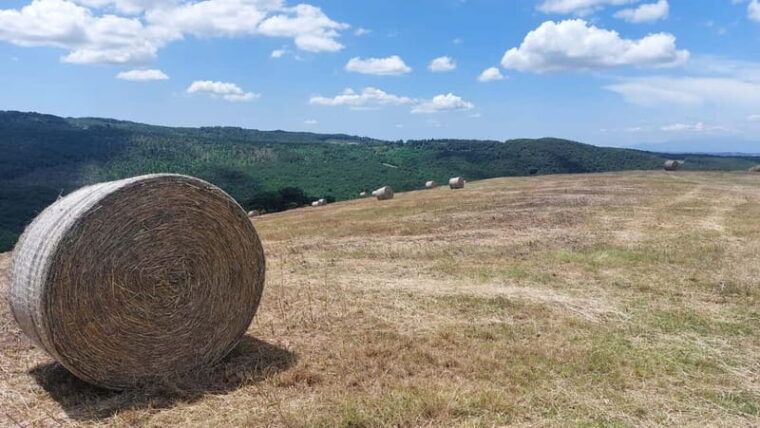 San Miniato: e-bike tour (truffle hills) and brunch - Price and Value Analysis