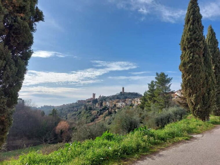 San Miniato: e-bike tour (truffle hills) and brunch - Who Will Love This Tour?