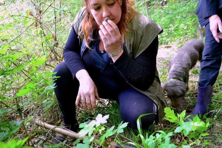 San Miniato: Truffle Hunting, Food, and Gourmet Experience - Why This Tour is Worth Considering