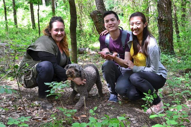 San Miniato: Truffle Hunting, Food, and Gourmet Experience - Important Guidelines