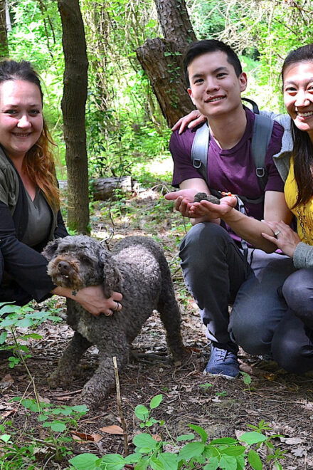 San Miniato: Truffle Hunting, Food, and Gourmet Experience - Booking Process