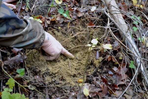 San Miniato: Truffle Hunting, Food, and Gourmet Experience - Frequently Asked Questions
