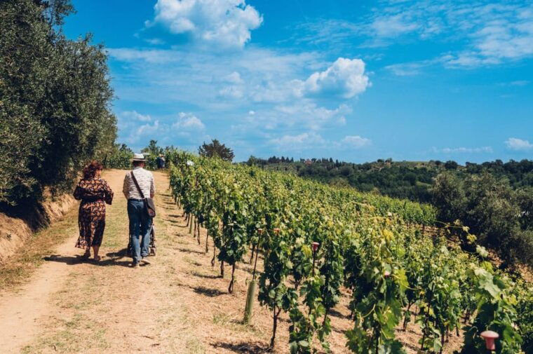 San Miniato: Wine Tour in a Family-Run Tuscan Winery - Guided Vineyard Tour