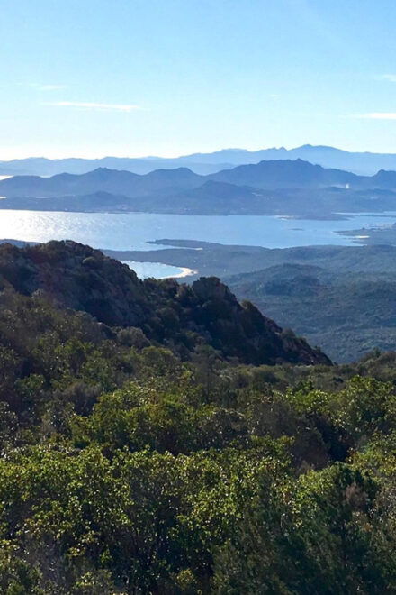 San Pantaleo: Montemoro Premium E-Bike Tour Ducati E-Bikes - Biking Experience