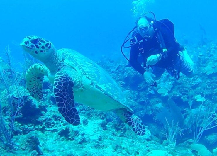 San Pedro, Belize Scuba Diving - Scuba Diving Experience in San Pedro