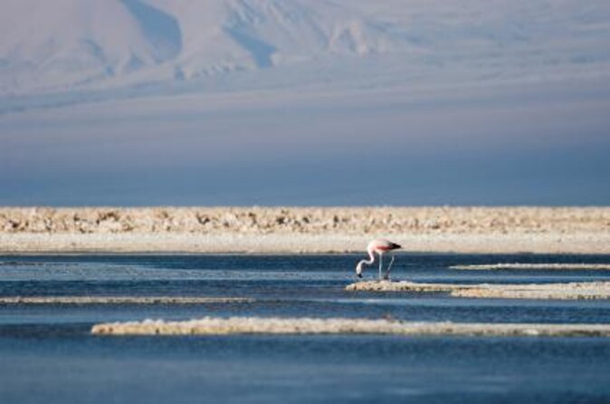 San Pedro De Atacama: 4-Days Magic Desert Adventure - Inclusions and Accommodation