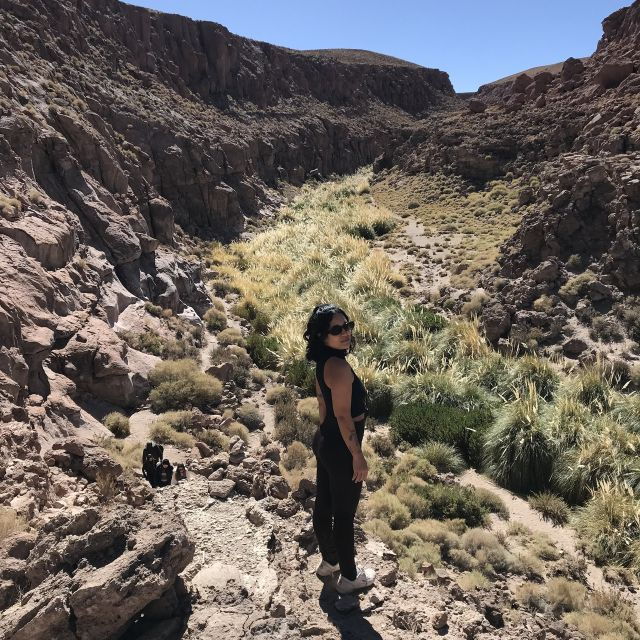San Pedro De Atacama: Canyon Swimming Pools Trekking Trip - Experience Highlights
