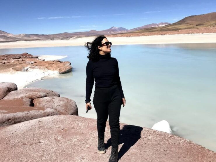 San Pedro De Atacama: Red Rocks & Altiplano Lagoons Day Trip - Tour Activity Details