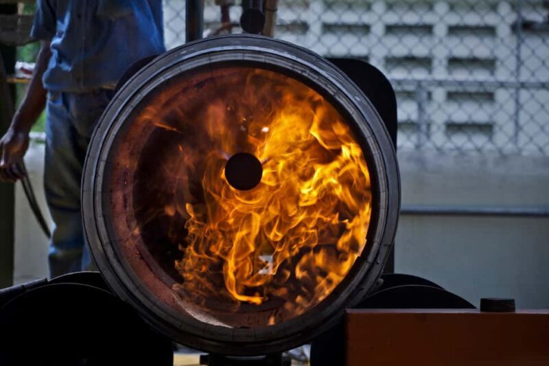 San Pedro De Macoris: Ron Barcerló Rum Factory Tour - What to Expect from Your Tour