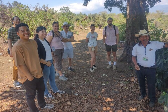 San Pedro Las Huertas: Seed-to-Cup Coffee Tour (Near Antigua) - Logistics and Details