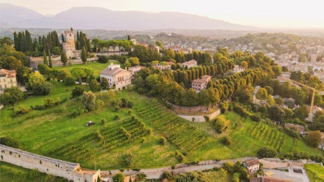 San Pietro Di Feletto: Vineyard Tour With Cellar Visit - Booking Information