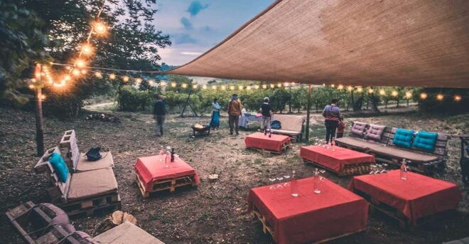 San Quirico: Goblets at Sunset Experience - Tranquil Vineyard Surroundings