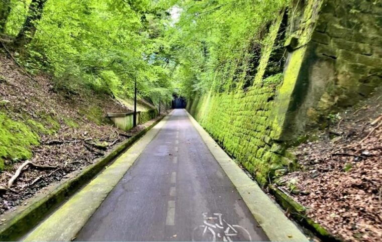 San Sebastian: Bike Tour to Oiartzun With FREE Snack & Drink - Exploring Zurriola Beach and Paseo Nuevo