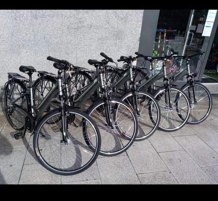 San Sebastian: Bike Tour to Oiartzun With FREE Snack & Drink - Suitable for All Ages and Families