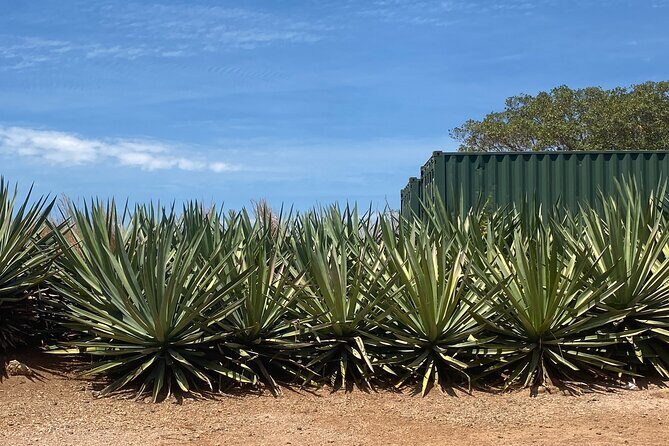 San Sebastián del Oeste, a town between mountains - Transportation, Timing, and Practicalities