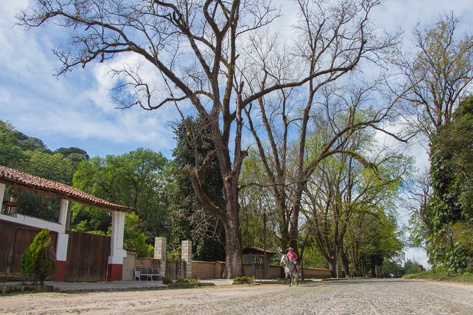 San Sebastian Del Oeste - Cancellation Policy and Help Center