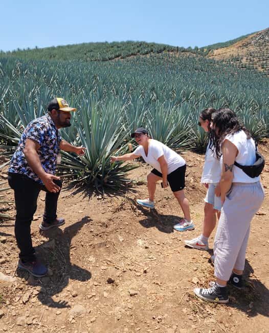 San Sebastian del Oeste: Tequila Tasting and Coffee Tour - Final Thoughts