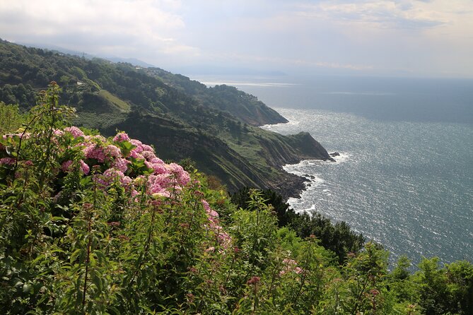 San Sebastian Half Day Wineries and Cider Houses Lunch - Lunch at Selected Restaurants