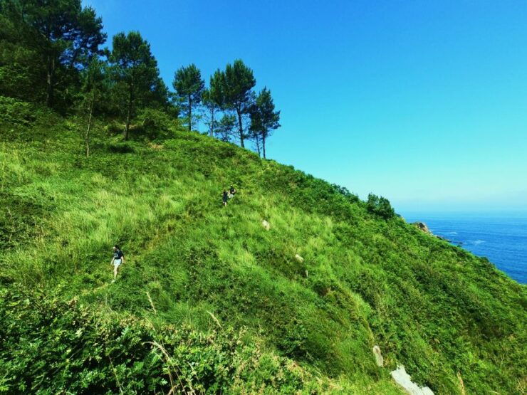 San Sebastián: Hike in the North Way of Saint James - Activity Information