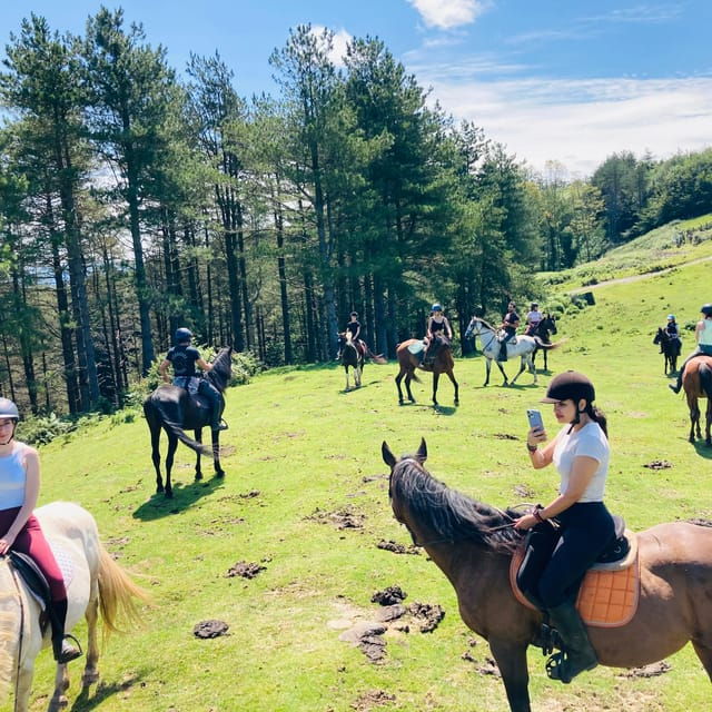 San Sebastian: Horseback Riding & Traditional Delights - Target Audience